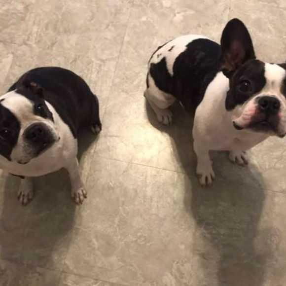 Meet your Posher, Pam - Picture 1 of 1